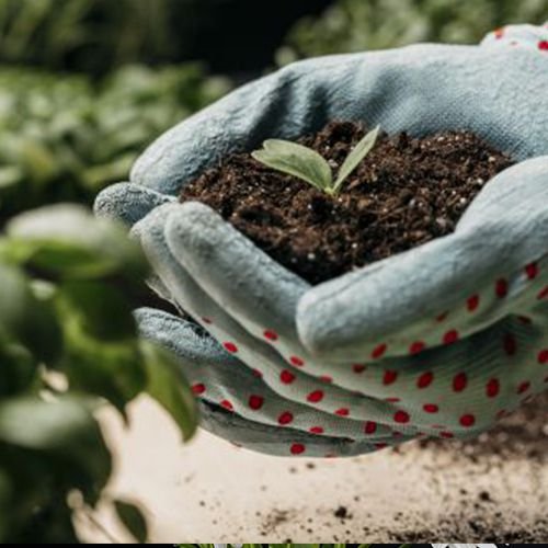 Organic vs. Conventional Botanicals: What Buyers Should Know